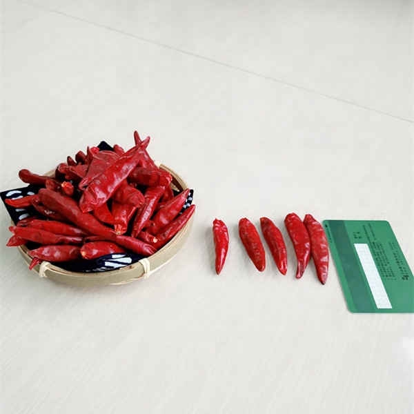 중국 최상품 말린 스애니왕 칠리는 붉은 고추를 뜨겁게 합니다