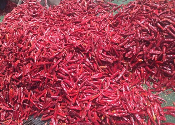 100% 순수 말린 아르볼 고추 70mm Tien Tsin Sun Dried Red Peppers